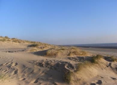 Camber Sands