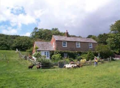 Cliff Farm