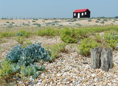 Large coastal nature reserve with a vast array of wildlife