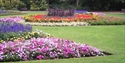Alexandra Park