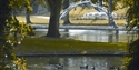Alexandra Park