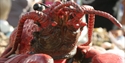 Hastings Seafood and Wine Festival