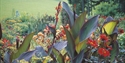 Pashley Manor Gardens Canna Lilies by ha ha