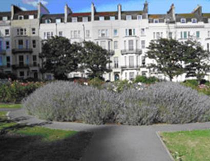 Warrior Square Apartment - Seaview