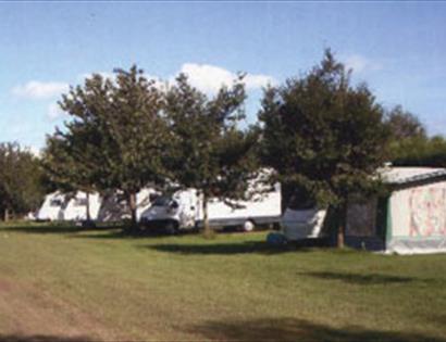 Cobbs Hill Farm