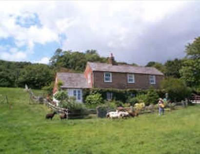 Cliff Farm