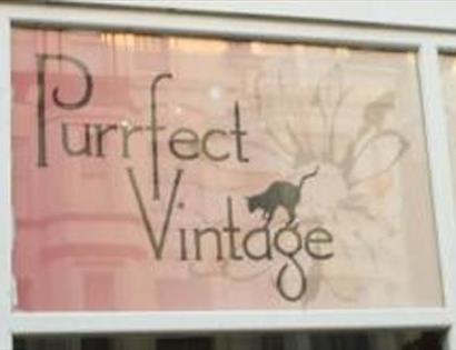 Purrfect Vintage