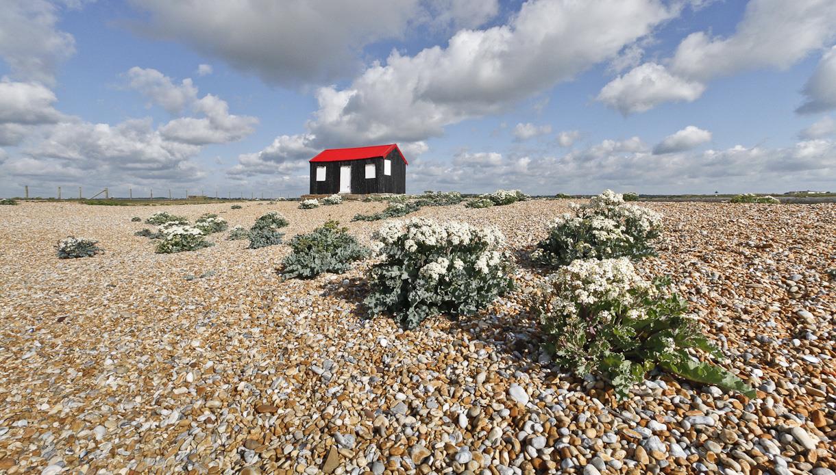 Rye Harbour Nature Reserve Visit 1066 Country