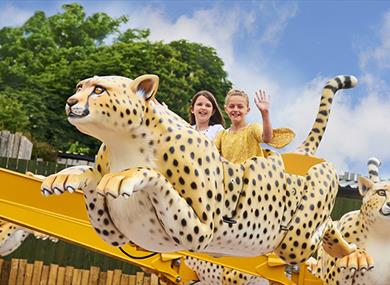Drusillas Park - Visit 1066 Country